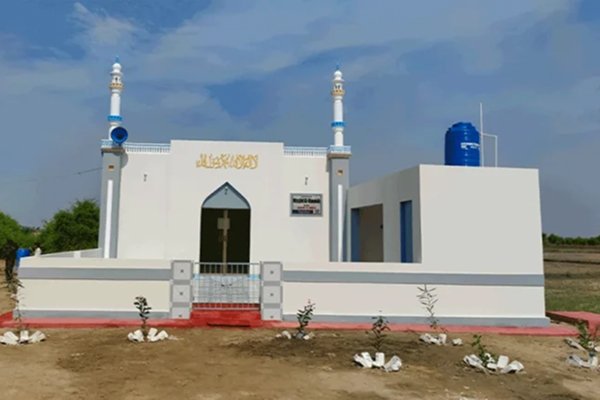 majid-1-768x435 1
